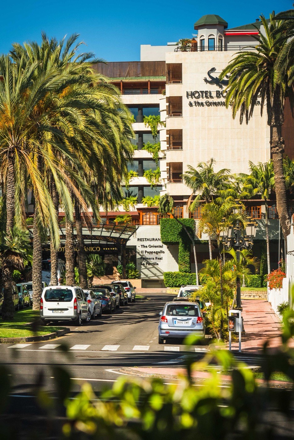 Palm-lined approach to a managed property